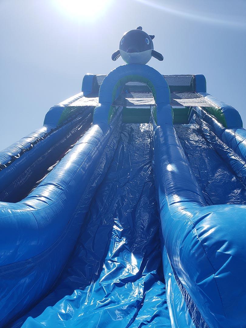Bounce house rental