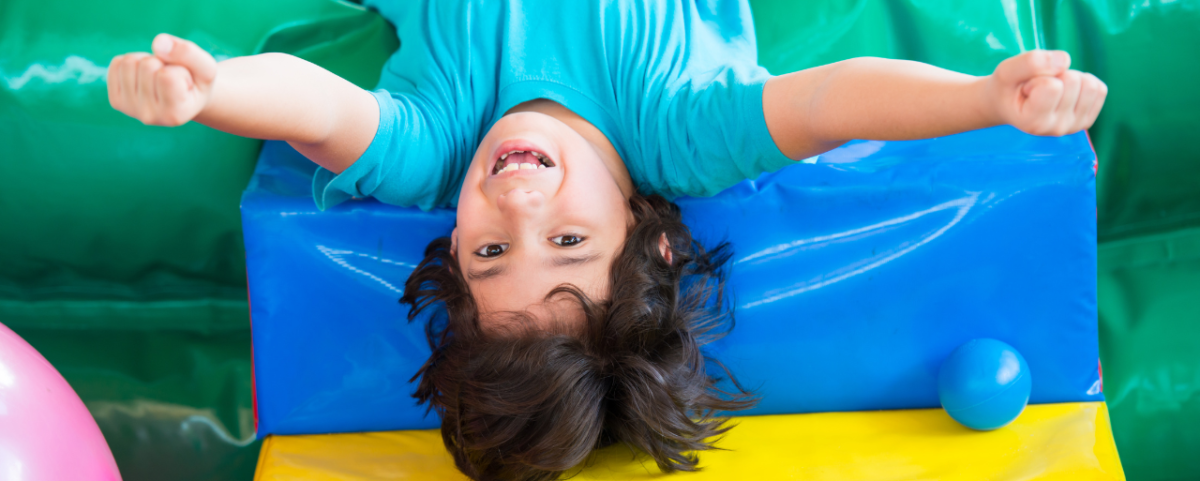 Bounce House or Inflatable Slide